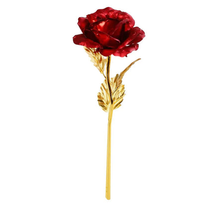 Rose éternelle